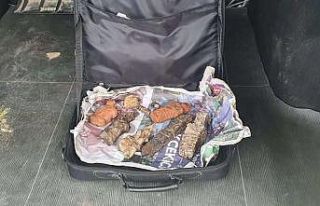 Bitlis’te tarihi eser kaçakçılığı