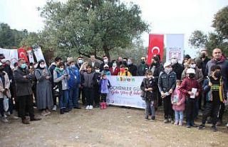 Bodrum’da 200 göçmen, antik kenti gezdi