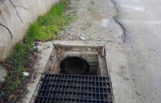 Bodrum’da bu kez mazgallar çalındı