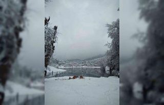 Bolu’da, yürüyüş yapan iki kişinin üzerine...
