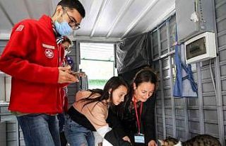 Buca’da sahiplenilen engelli kedilere ömür boyu...