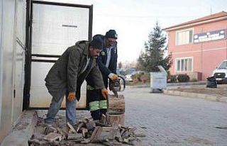 Budanan ağaçlar ihtiyaç sahiplerine yakacak oluyor
