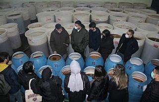 Burhaniye’de üniversiteli gençlerden zeytinyağı...