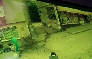 Bursa’da ağacın devrilmesinden kıl yapı kurtulan...