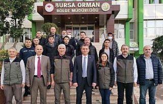 Bursa’da defne üretimine yakın markaj