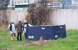 Bursa’da yarısı köpekler tarafından parçalanmış...