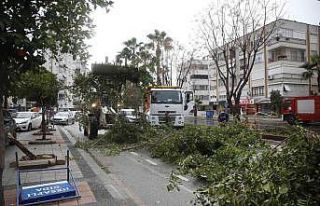 Büyükşehir, fırtına sebebiyle kent genelinde...