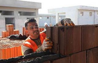 Büyükşehirden 2 bin sokak hayvanına bakım evi