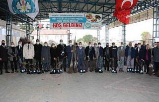 Büyükşehirden, Demirci’de meyve üretimine destek