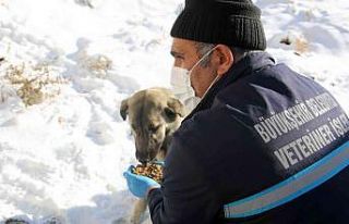 Büyükşehir’in ekipleri yaban hayatını korumak...