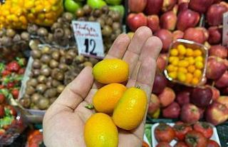 C vitamini deposu kamkat tezgahlarda