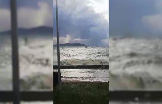 Caddebostan’da martıların lodosla imtihanı