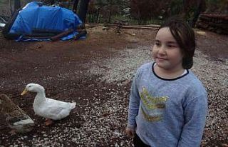 Çadırda yaşayan 9 yaşındaki Yağmur’un en büyük...