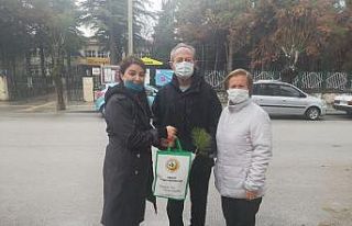 Çam ağacı kesimini önlemek için bin adet fidan...