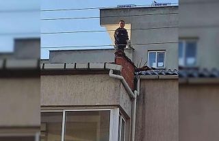Çatıdaki kediyi, İtfaiye kurtardı