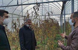 Çekerek Kaymakamı Güzel, genç girişimcileri destekliyor