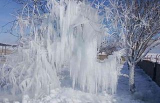 Çeşme borusu patladı söğüt ağacı buz ağaca...
