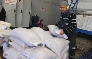 Çevre dostu yakıt zeytin çekirdeği yok satıyor