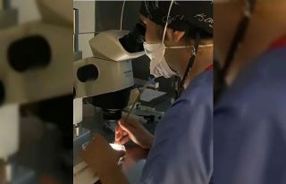 Çevre kirliliği ve şekerli içeceklerin üremeyi...