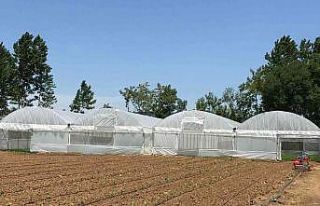 Çiftçilere yüzde 70 hibeli sera naylonu desteği