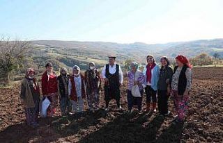 Çiftçiye toprak ve bitki analizlerinde danışmanlık...