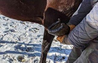 Çıldır Gölü’nde atlara "kış lastiği"