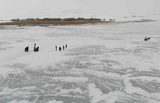 Çıldır Gölü’nde dörtnala atlı kızak keyfi