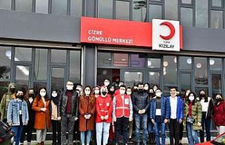 Cizre Gönüllü Merkezinde gençler hem öğreniyor...