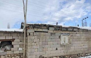 Çöken ahırdaki hayvanlar kurtarıldı