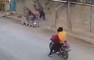 Çöp konteynerine çarpıp takla attı, çöpteki...