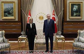 Cumhurbaşkanı Erdoğan, Arnavutluk Meclis Başkanı...