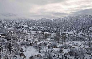 Denizli güne karla uyandı