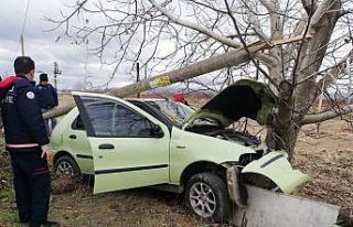 Denizli’de otomobil ağaca çarptı: 1 yaralı