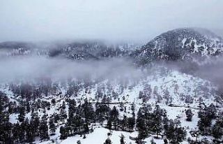 Denizli’nin Sibiryası Çameli’nden kar manzaraları