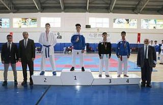 Dereceye giren karatecilere madalya verildi