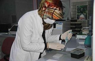 Dicle Üniversitesi pandemiye rağmen yılda 25 kemik...