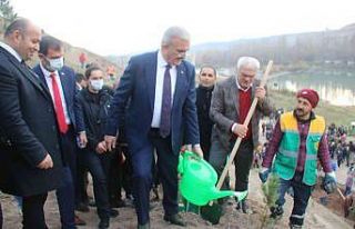 Diyarbakır Fetih 1382 Hatıra Ormanı’nda 10 bin...
