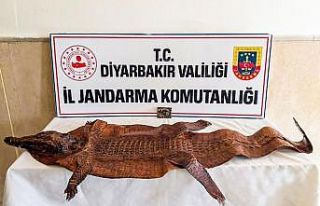 Diyarbakır’da 2 milyon dolar karşılığında...