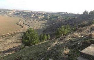 Diyarbakır’da Devlet Bahçeli Hatıra Ormanı’nda...