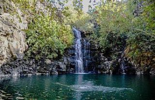 Diyarbakır’da Yabanardı ve Şeyhandede şelaleleri...