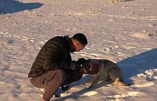 Doğa fotoğrafçısı Vedat Atlı’dan yaban hayatı...