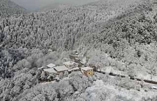 Doğa kışa kar örtüsü altında girdi