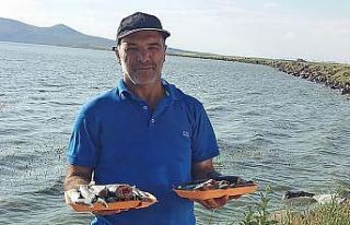 Doğa sever tır sürücüsünden geriye ayı beslerken...