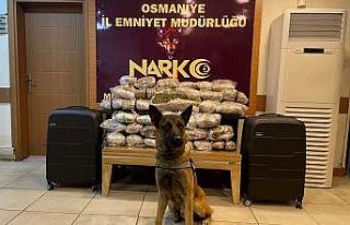 Doğudan batıya uyuşturucu sevkiyatına Osmaniye...