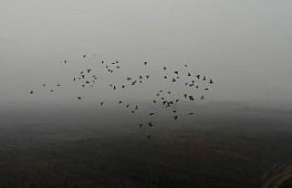 Doğunun Çukurova’sı soğuk hava ve sise teslim...