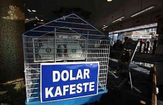 Doları kafese koydu, alışverişlerinde kuru 8 liraya...