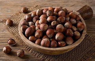 Döviz düşerken fındık fiyatı da düştü