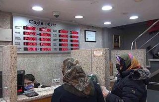 Dövizdeki ani düşüş Kocaeli’deki döviz bürolarını...