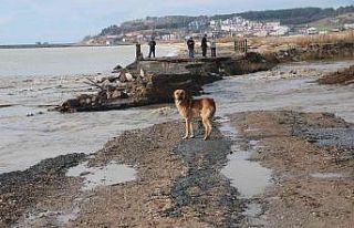 Edirne felaketi yaşıyor, sel sularına dayanamayan...