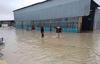 Edirne’de şiddetli sağanak: Onlarca iş yeri su...